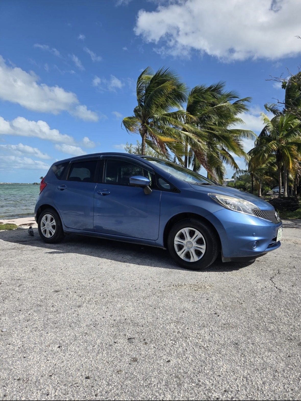 A blue A2B rental hatchback parked by the water under palm trees in Nassau